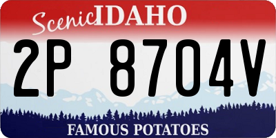 ID license plate 2P8704V
