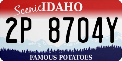 ID license plate 2P8704Y