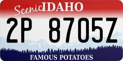 ID license plate 2P8705Z