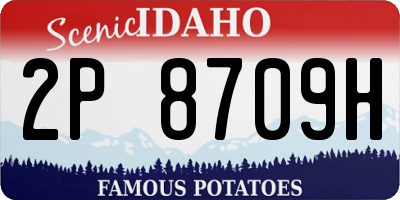ID license plate 2P8709H