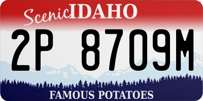 ID license plate 2P8709M