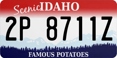 ID license plate 2P8711Z