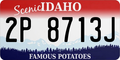 ID license plate 2P8713J