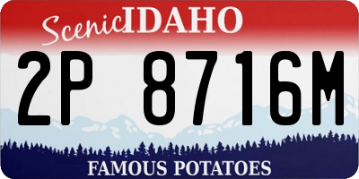 ID license plate 2P8716M