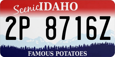 ID license plate 2P8716Z