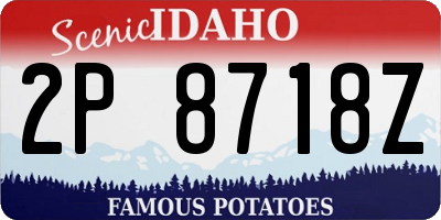 ID license plate 2P8718Z