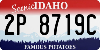 ID license plate 2P8719C