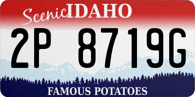 ID license plate 2P8719G