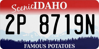 ID license plate 2P8719N