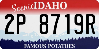 ID license plate 2P8719R
