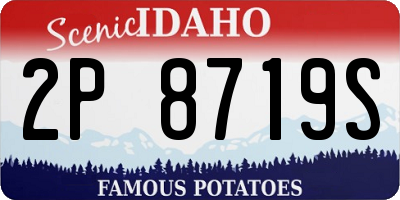 ID license plate 2P8719S