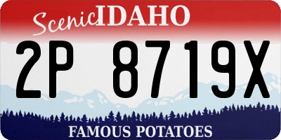 ID license plate 2P8719X