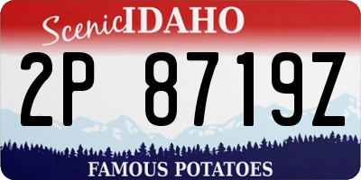 ID license plate 2P8719Z