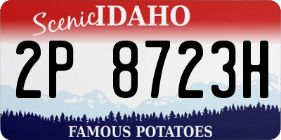ID license plate 2P8723H