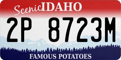 ID license plate 2P8723M