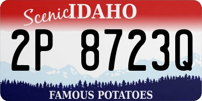 ID license plate 2P8723Q