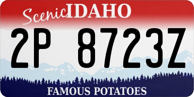 ID license plate 2P8723Z