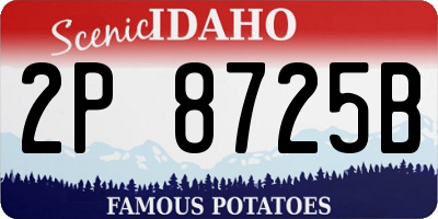 ID license plate 2P8725B