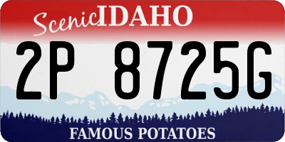 ID license plate 2P8725G