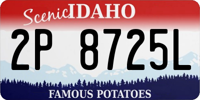 ID license plate 2P8725L