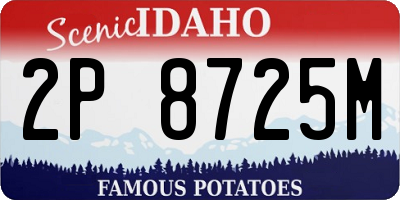 ID license plate 2P8725M