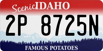 ID license plate 2P8725N