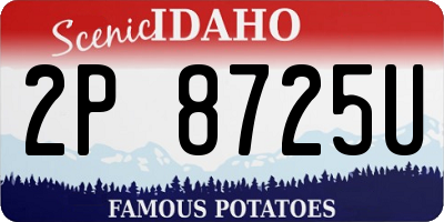 ID license plate 2P8725U