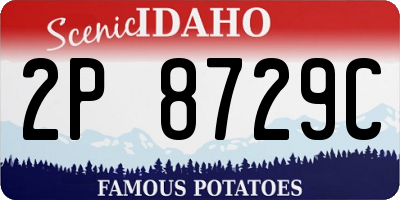 ID license plate 2P8729C