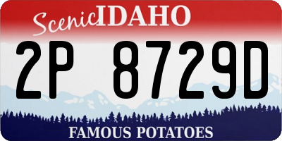 ID license plate 2P8729D