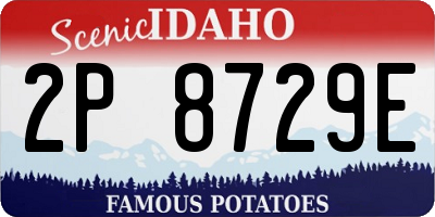 ID license plate 2P8729E