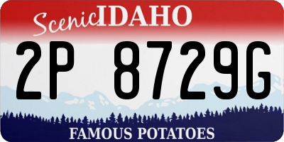 ID license plate 2P8729G