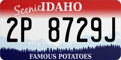 ID license plate 2P8729J