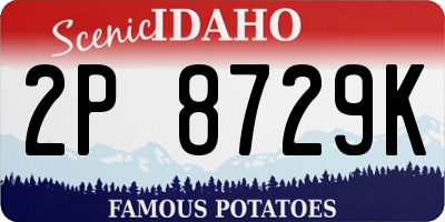ID license plate 2P8729K