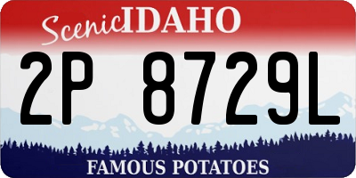 ID license plate 2P8729L