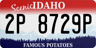 ID license plate 2P8729P