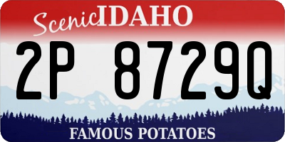 ID license plate 2P8729Q