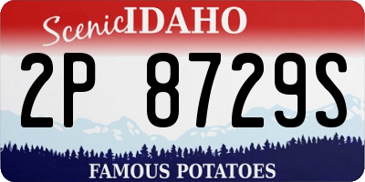 ID license plate 2P8729S