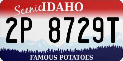 ID license plate 2P8729T