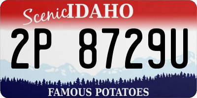 ID license plate 2P8729U