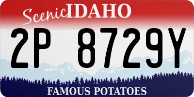 ID license plate 2P8729Y