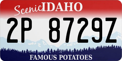 ID license plate 2P8729Z