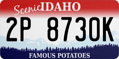 ID license plate 2P8730K
