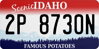 ID license plate 2P8730N