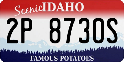 ID license plate 2P8730S