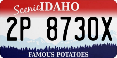 ID license plate 2P8730X