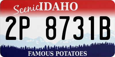 ID license plate 2P8731B