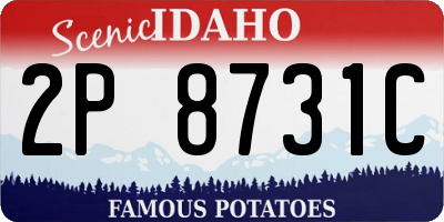 ID license plate 2P8731C