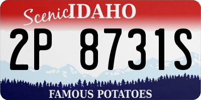 ID license plate 2P8731S