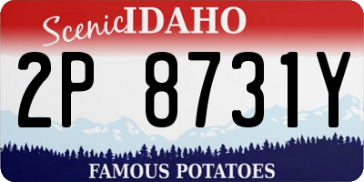ID license plate 2P8731Y