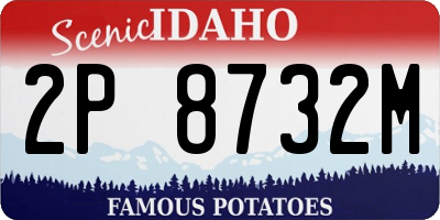 ID license plate 2P8732M